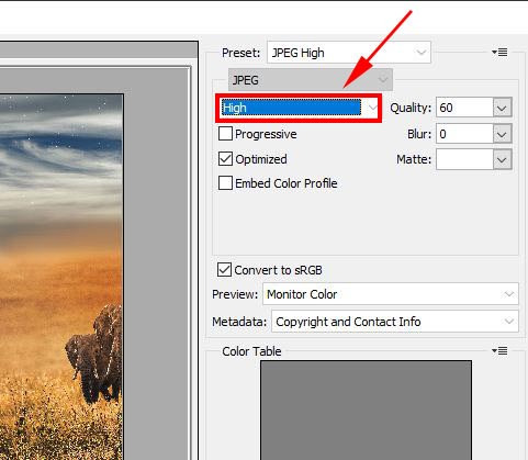 File Format in Photoshop