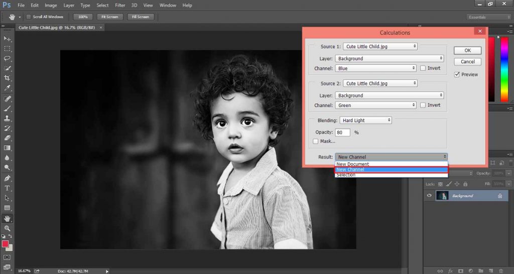 make a picture black and white in photopad image editor