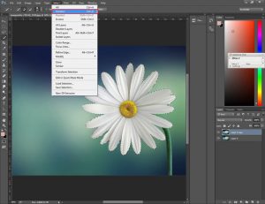 How To Deselect In Photoshop Within 5 Minutes | Clipping Way