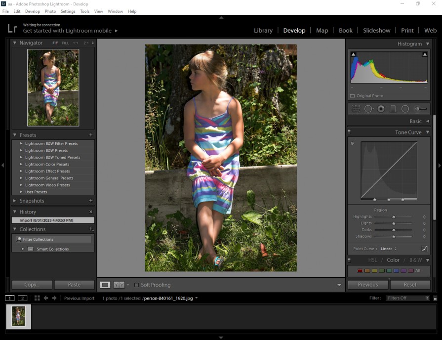 how to remove shadows in lightroom