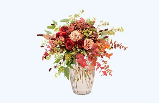 Image Cutout Service 8 Image Cutout Service 4