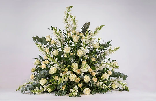 Best Clipping Path Service Provider by Trusted Professionals 10 Super-Complex-Clipping-Path-Service