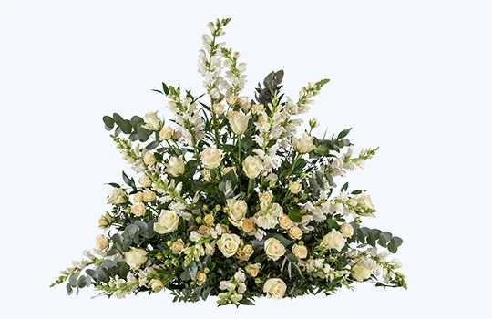 Best Clipping Path Service Provider by Trusted Professionals 11 Super-Complex-Clipping-Path-Services